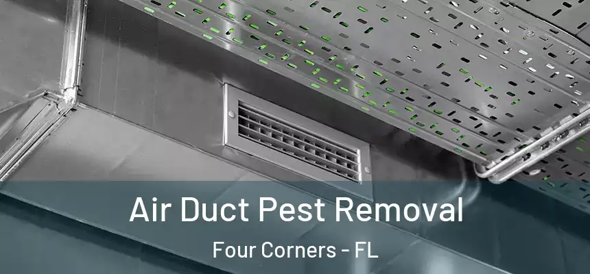 Air Duct Pest Removal Four Corners - FL