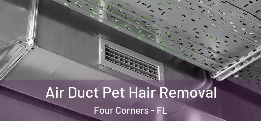 Air Duct Pet Hair Removal Four Corners - FL