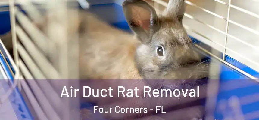 Air Duct Rat Removal Four Corners - FL