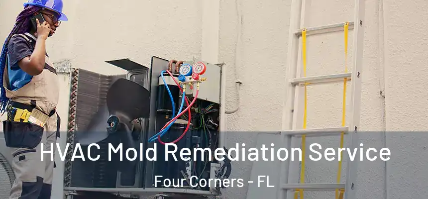 HVAC Mold Remediation Service Four Corners - FL