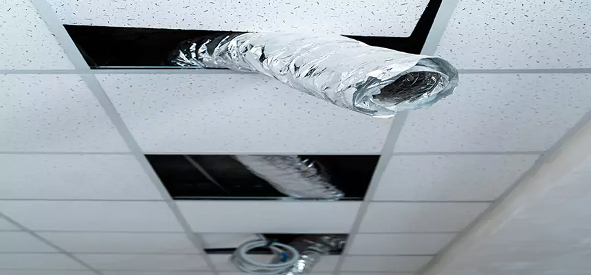 Our Air Duct Pet Hair Removal Services in Four Corners, FL