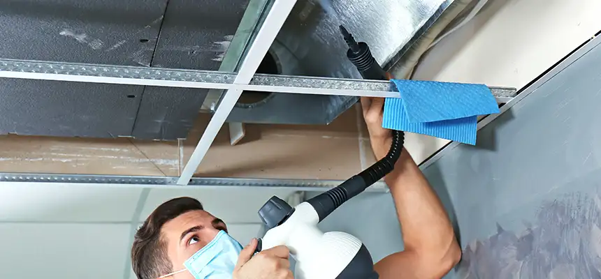 Our Air Duct Rodent Removal Services in Four Corners, FL