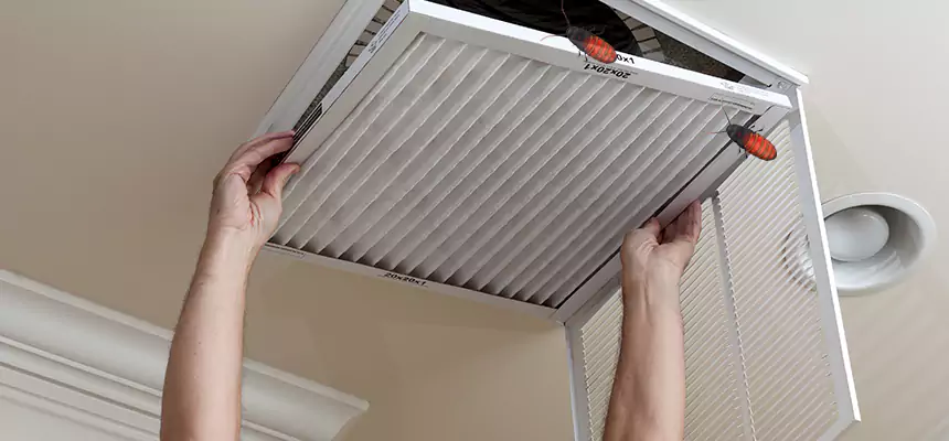 Our Insect Removal from Air Ducts Services in Four Corners, FL