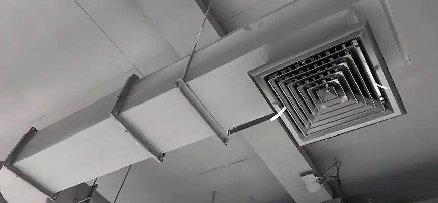 Our Pest Removal From Ducts Services in Four Corners, FL