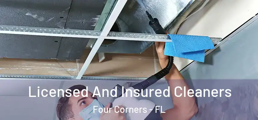 Licensed And Insured Cleaners Four Corners - FL