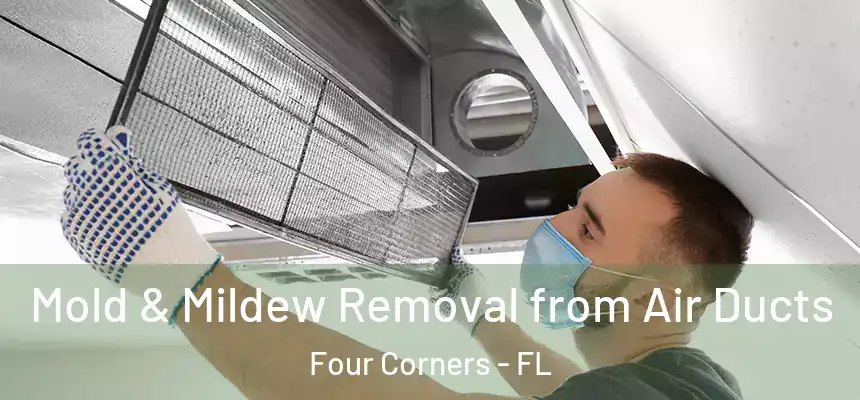 Mold & Mildew Removal from Air Ducts Four Corners - FL