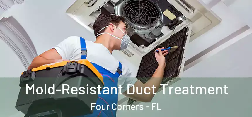 Mold-Resistant Duct Treatment Four Corners - FL