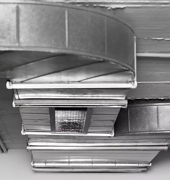 Professional Air Duct Pest Removal in Four Corners, FL