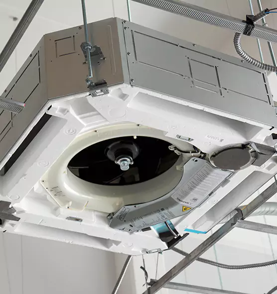 Professional Roof Vent Lint Removal Four Corners, FL