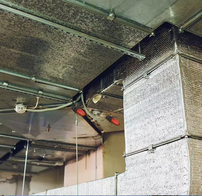 Why Homeowners & Businesses Trust Us in Four Corners, FL?