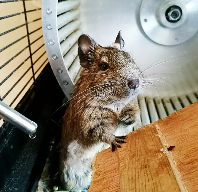 Why Homeowners & Businesses Trust Us Four Corners, FL